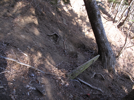 20190108hike (450)